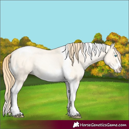 Horse Color:Buckskin Pearl Dun Splash Tobiano Frame 
