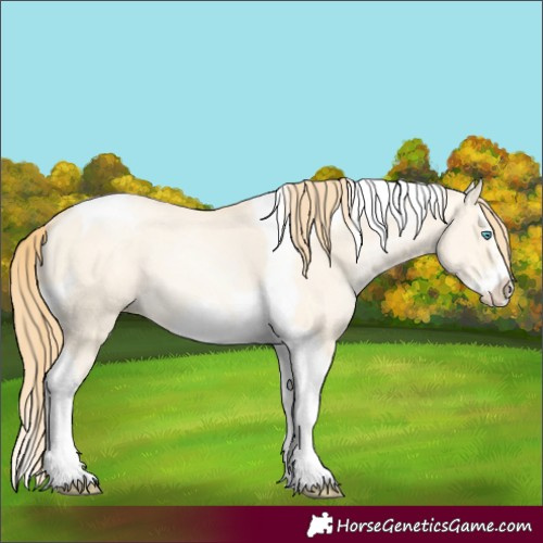 Horse Color:Buckskin Pearl Dun Splash Tobiano Frame 