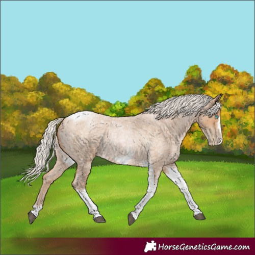 Horse Color:Silver Blue Roan Pearl Tobiano Frame 
