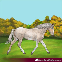 Horse Color:Silver Blue Roan Pearl Tobiano Frame