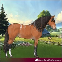 Horse Color:Powder White Bay