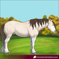 Horse Color:Amber Champagne Dun Splash 