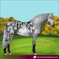 Horse Color:ERROR: UNKNOWN ANOMALY
