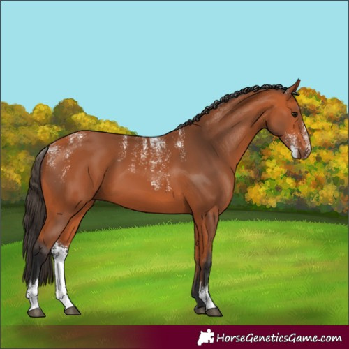 Horse Color:Powder White Bay