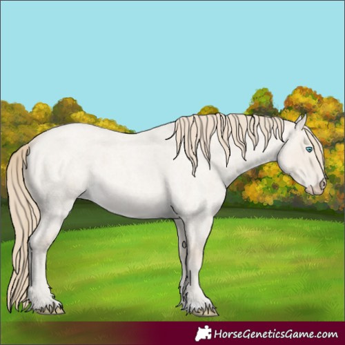 Horse Color:Smoky Creme Roan Dun 