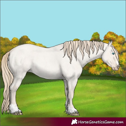 Horse Color:Smoky Creme Roan Dun