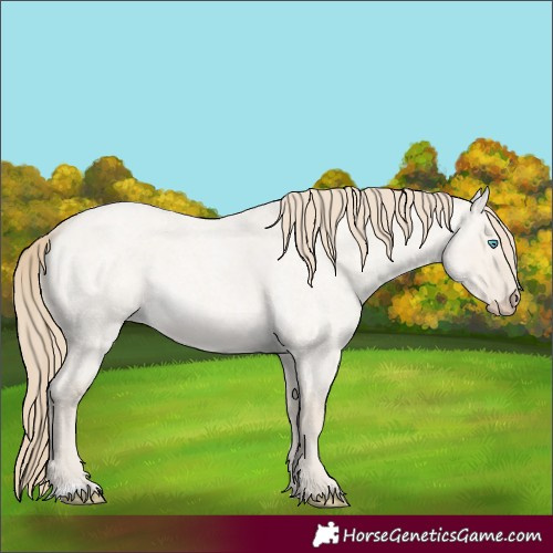 Horse Color:Smoky Creme Roan Dun 