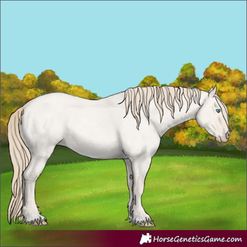 Horse Color:Smoky Creme Roan Dun