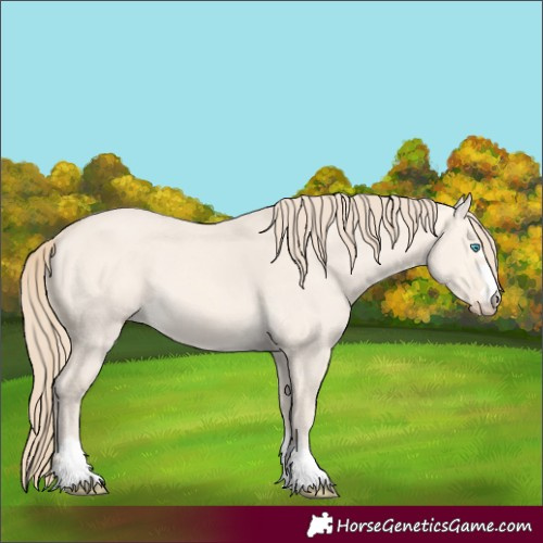 Horse Color:Perlino Dun