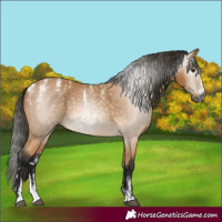 Horse Color:Powder White Gray Buckskin 