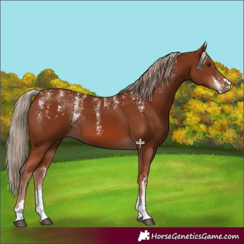 Horse Color:Powder White Chestnut 
