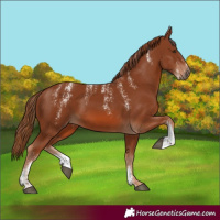 Horse Color:Powder White Chestnut