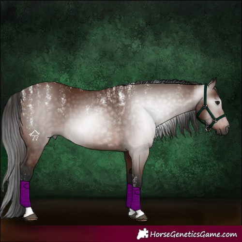 Horse Color:Powder White Gray Bay