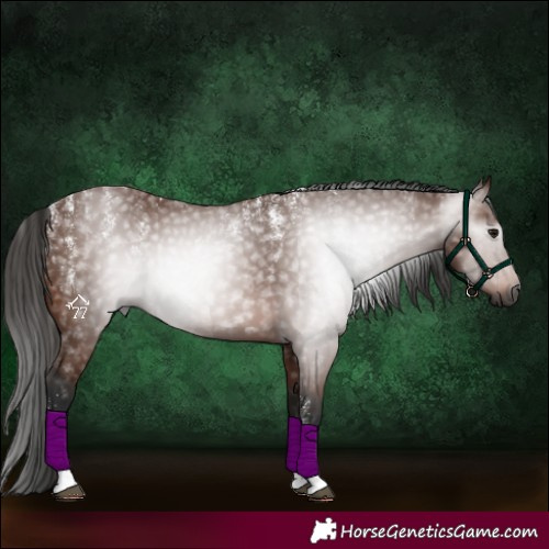 Horse Color:Powder White Gray Bay 
