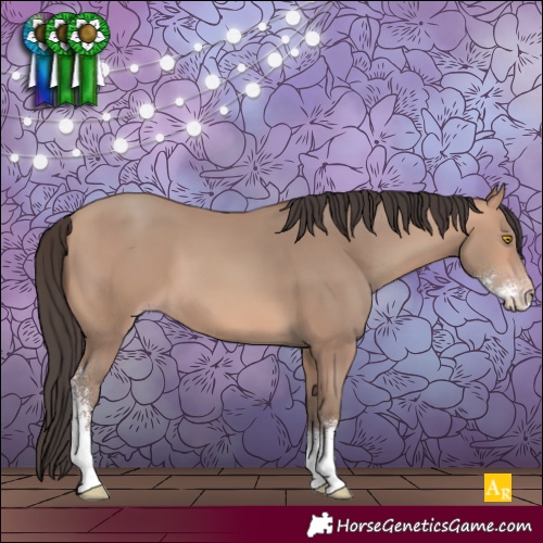 Horse Color:Amber Champagne Sabino 