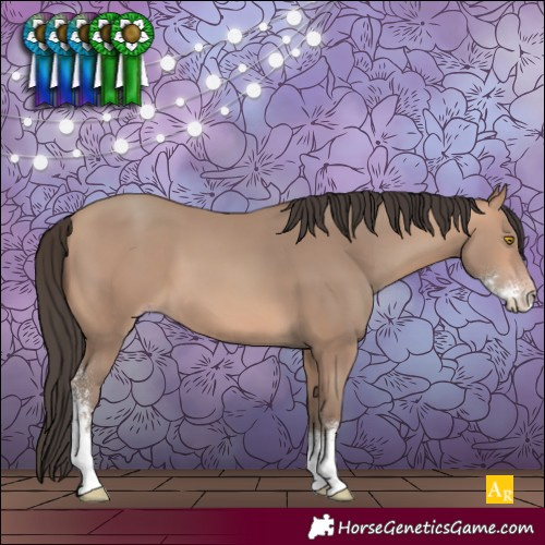 Horse Color:Amber Champagne Sabino