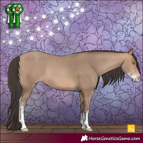 Horse Color:Amber Champagne Sabino 
