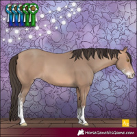 Horse Color:Amber Champagne Sabino