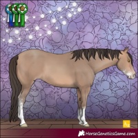 Horse Color:Amber Champagne Sabino 