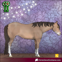 Horse Color:Amber Champagne Sabino