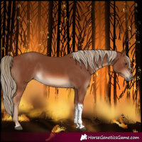 Horse Color:Chestnut Tobiano 