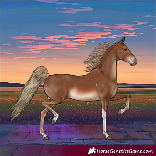Horse Color:Chestnut Tobiano 
