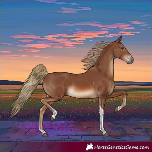 Horse Color:Chestnut Tobiano 