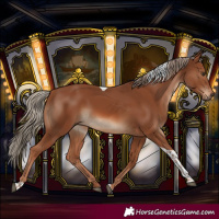 Horse Color:Chestnut Tobiano