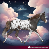 Horse Color:Liver Chestnut Sabino Splash Tobiano Blanket 