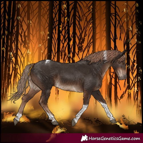 Horse Color:Liver Chestnut Tobiano 