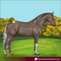 Horse Color:Silver Black Tobiano