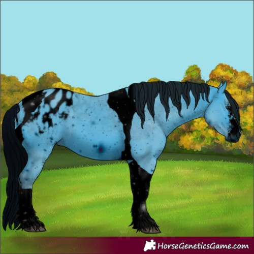 Horse Color:ERROR: UNKNOWN ANOMALY