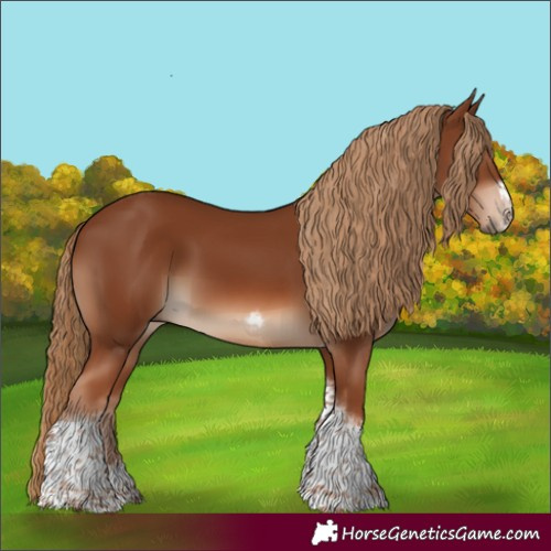 Horse Color:Chestnut Tobiano Frame