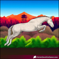 Horse Color:Cremello Splash  and Smoky Creme Splash 
