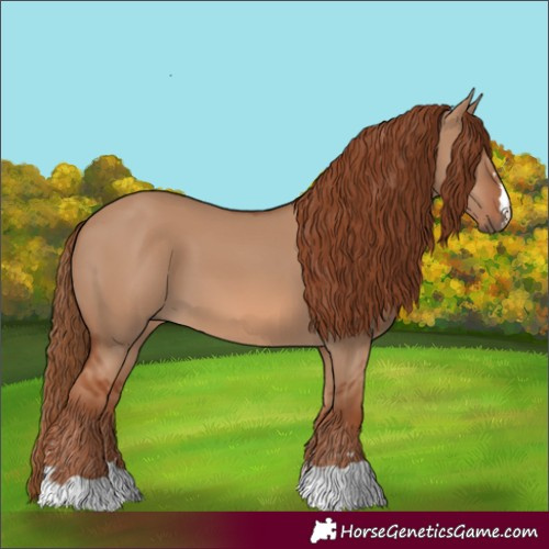Horse Color:Red Dun 