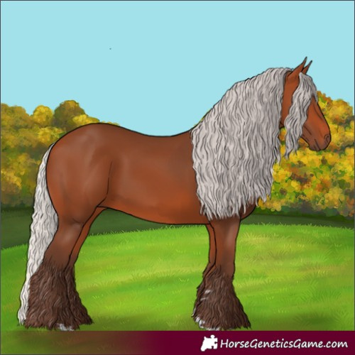 Horse Color:Silver Bay 