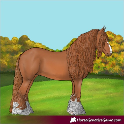 Horse Color:Chestnut 