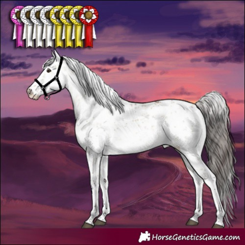Horse Color:White Spotted Bay Dun Sabino 
