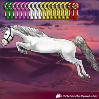 Horse Color:White Spotted Bay Dun Sabino 