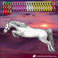 Horse Color:White Spotted Bay Dun Sabino