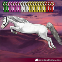 Horse Color:White Spotted Bay Dun Sabino 