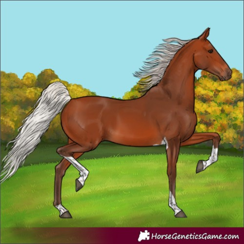 Horse Color:Silver Bay Tobiano 