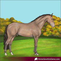 Horse Color:Amber Champagne