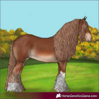 Horse Color:Chestnut Tobiano