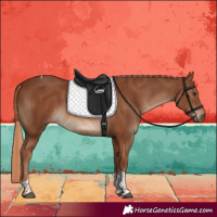 Horse Color:Chestnut Tobiano