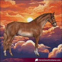 Horse Color:Chestnut Tobiano 