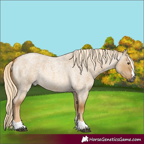 Horse Color:Gray Palomino Roan Dun 