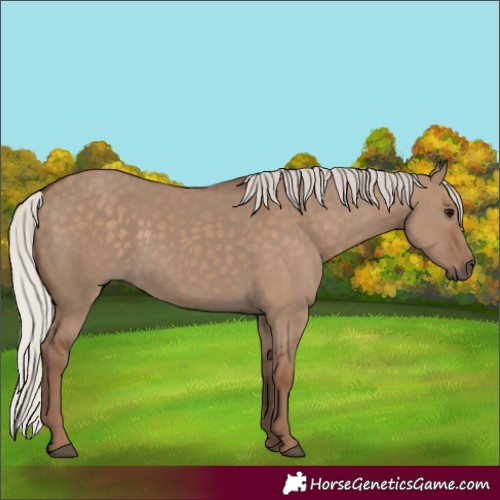Horse Color:Silver Grullo 