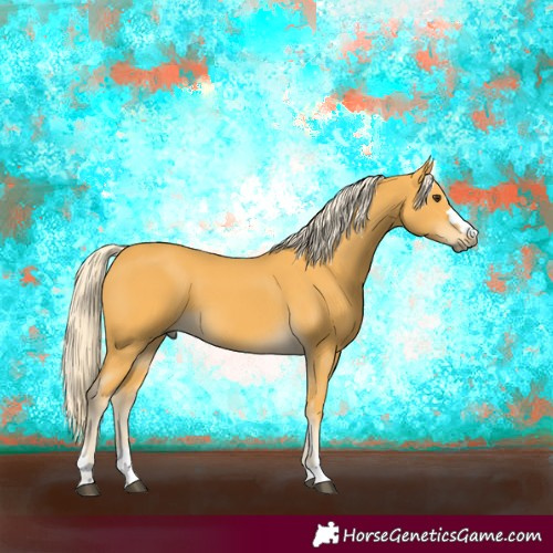 Horse Color:Palomino