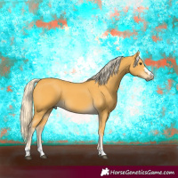 Horse Color:Palomino 